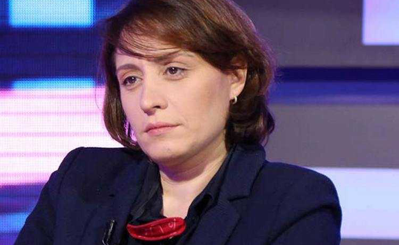 ეს არის ივანიშვილის და საპატრიარქოს გარიგებით დაგეგმილი სპეცოპერაცია - ელენე ხოშტარია