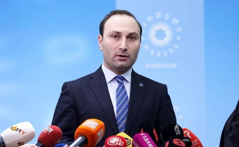 პოლიტიკური ჯგუფები ნადირობენ ადამიანის სიცოცხლეზე - ოხანაშვილი