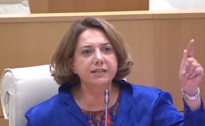 ორჯერ დაგახიეს თავზე ევროკავშირის დროშა - სამადაშვილი კუჭავას