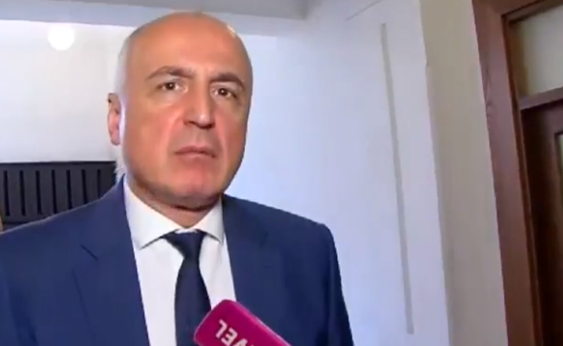 ვაპირებთ, დავიწყოთ მთავრობის მიმართ უნდობლობის გამოცხადების პროცედურა - ბადრი ჯაფარიძე 