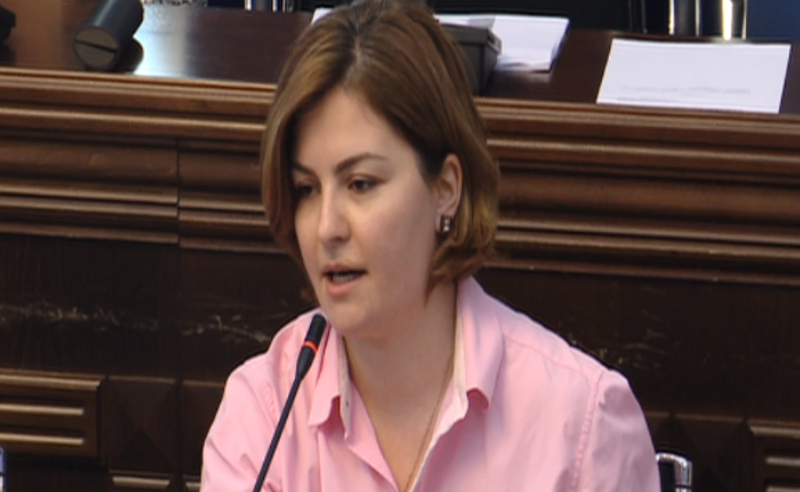 ბოიკოტი, რასაც მედიას უცხადებთ, ახალ ძალადობას წაახალისებს - ანა ნაცვლიშვლილი ხელისუფლებას