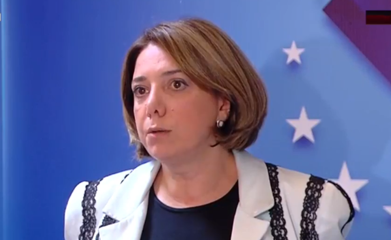 მიშელისგან იყო მოწოდება, რომ დოკუმენტს სასურველია, შეუერთდეს ყველა ოპოზიციური პარტია - სალომე სადაშვილი