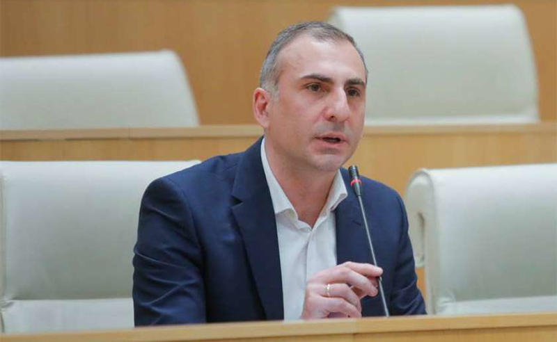 მედიის ზოგიერთი წარმომადგენლის ქცევა ცოტა ზედმეტად და გადაჭარბებულად მიმაჩნია - ელისაშვილი
