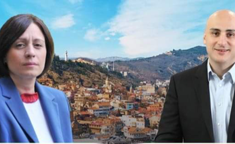 გადაწყვეტილება მიღებულია - მელია მერობის, ხოშტარია საკრებულოს თავმჯდომარეობის კანდიდატი იქნება