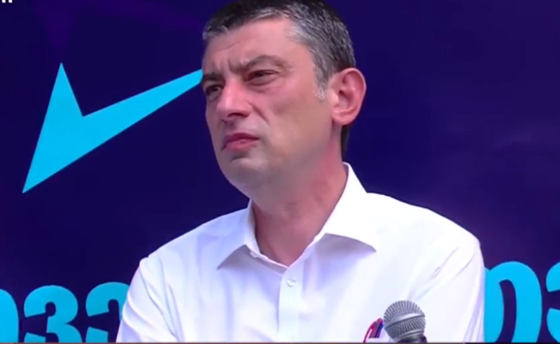 გიორგი გახარიამ გურიაში  მერობის კანდიდატი წარადგინა