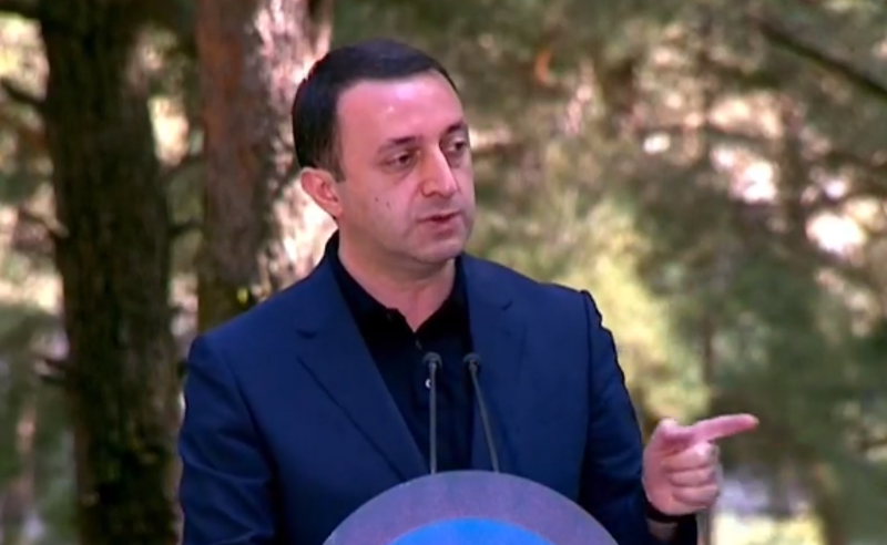 ჯანმოს დირექტორთან მქონდა ნაცნობობა და მისი შუამავლობით დავუკავშირდი ფაიზერის პრეზიდენტს - ღარიბაშვილი 