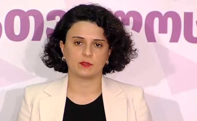 ხელისუფლებამ ჩვენს წინააღმდეგ ჩართო მთელი სახელმწიფო მანქანა - ნათია მეზვრიშვილი