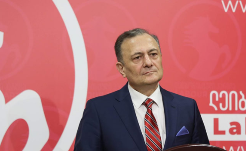 ნათელაშვილმა "ხალხისთვის კოვიდგენოციდის მოწყობის გამო" ივანიშვილს ჰააგაში უჩივლა