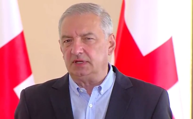 სახალხო დამცველი ,,ნაცმოძრაობის" გარე სპიკერად ჩამოყალიბდა - ვოლსკი