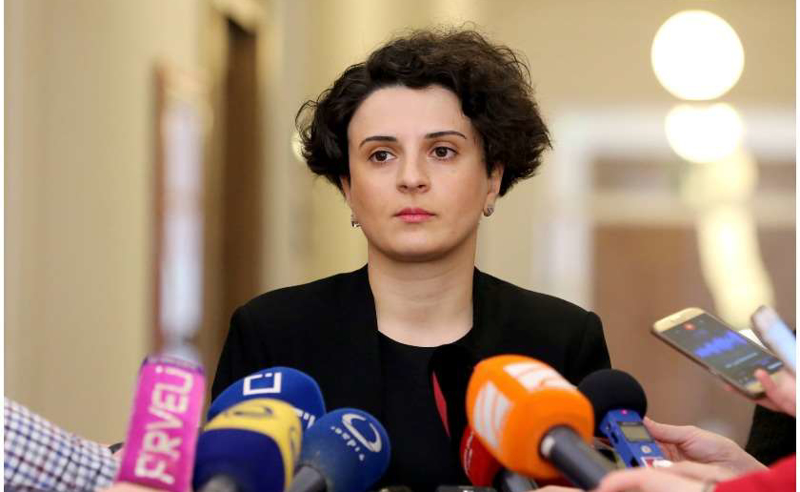 ხელმოწერა დაგვიანებულია, ,,ენმ"-მ ,,ოცნებას" შეთანხმების დარღვევის მიზეზი მისცა - მეზვრიშვილი