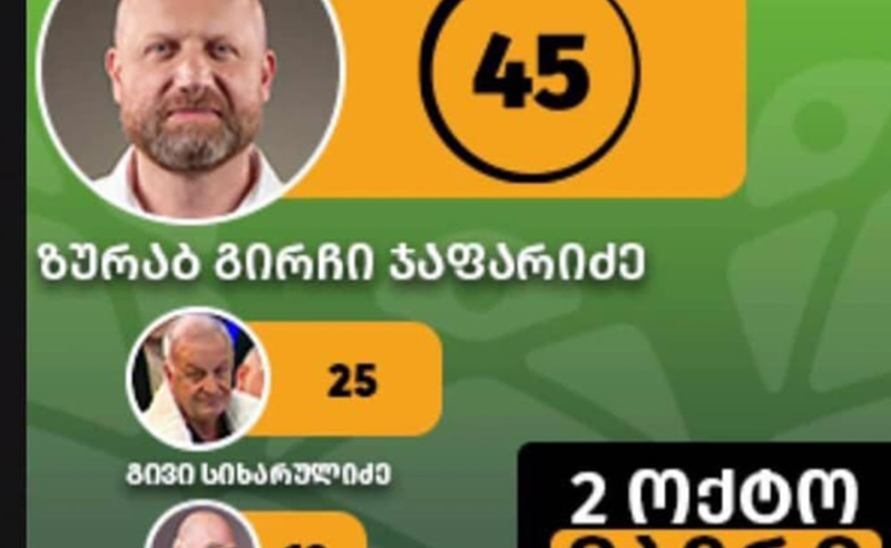 ზურაბ ჯაფარიძემ საარჩევნო რეკლამა PornHub-ზე განათავსა