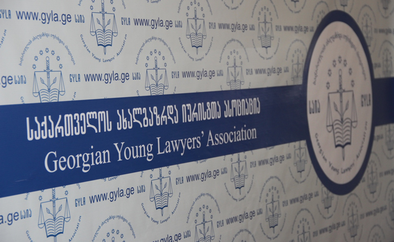 საია დადგენილი მაჟორიტარული ოლქების საზღვრების არაკონსტიტუციურად ცნობას ითხოვს