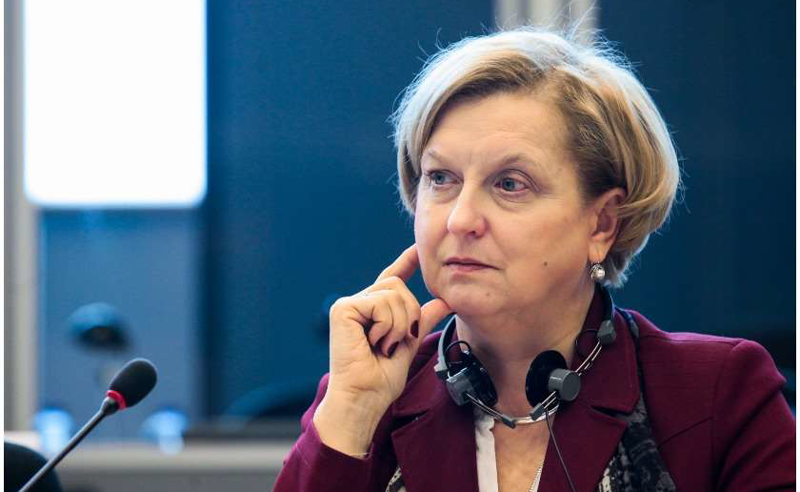 საქართველოში მივემგზავრები მაღალი მნიშვნელობის არჩევნებზე დასაკვირვებლად - ანა ფოტიგა
