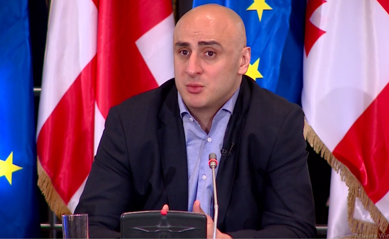ყველა ემიგრანტს მეც ვთხოვდი, რომ დაბრუნდეს - ნიკა მელია