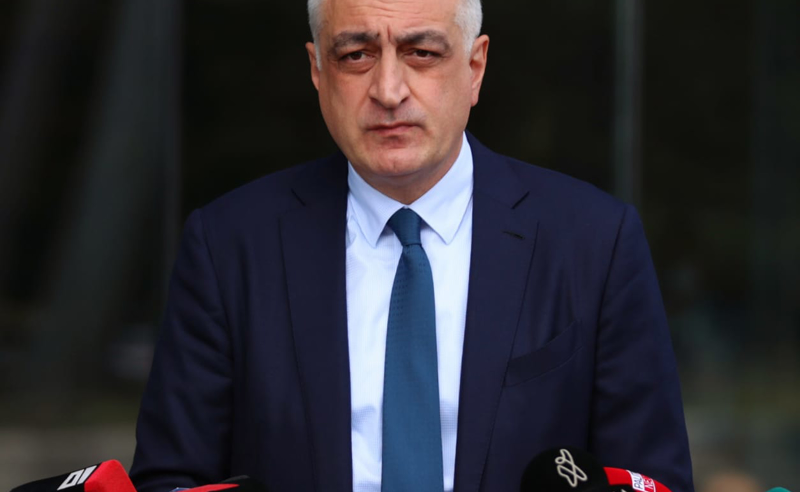 ხმა მივეცი ცვლილებას, კოალიციურ მართვას, დემოკრატიის განვითარებასა და დასავლურ კურსს - მამუკა ხაზარაძე
