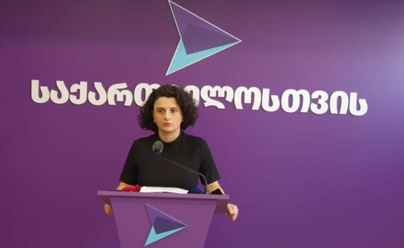 გახარიას გუნდი ცესკოს წინააღმდეგ - ნათია მეზვრიშვილის საგანგებო განცხადება