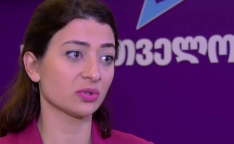 "ოცნებას" ვულოცავ სრულად დისკრედიტირებული ნაცმოძრაობის გაცოცხლებას - ანა ბუჩუკური 