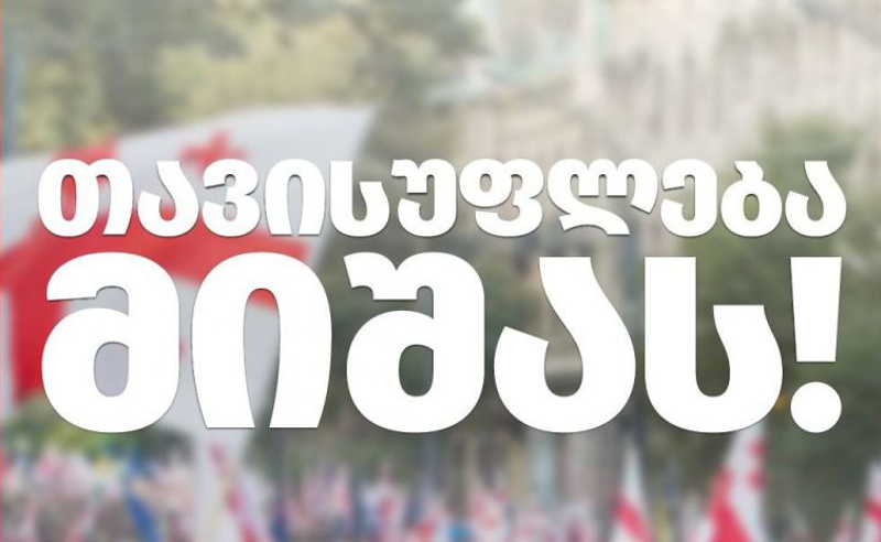 თავისუფლება მიშას! - აქცია რუსთავის ციხესთან