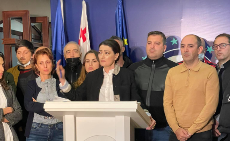 ხელისუფლება სააკაშვილის ფიზიკურ განადგურებას გეგმავს - თაკო ჩარკვიანის საგანგებო მიმართვა