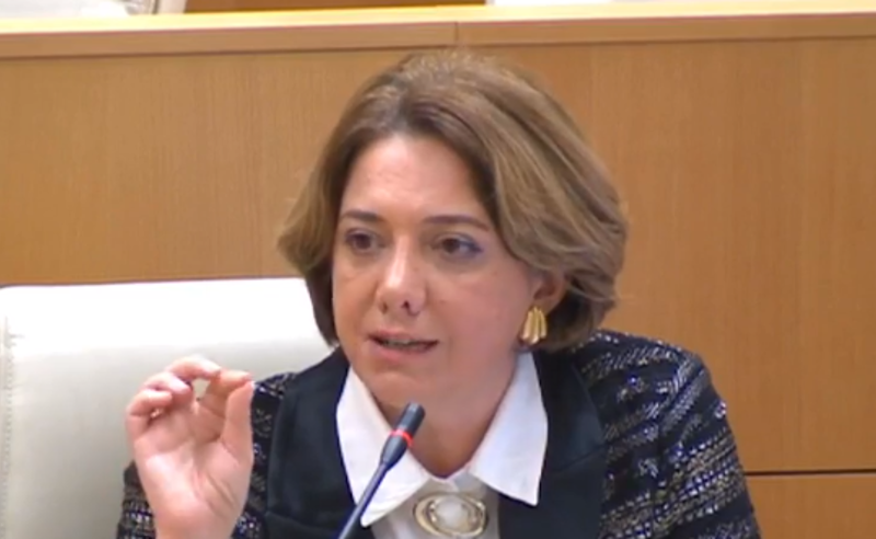 რაც ახლა ხდება ქვეყანაში, ეს არის აისბერგის წვერი - სალომე სამდაშვილი 
