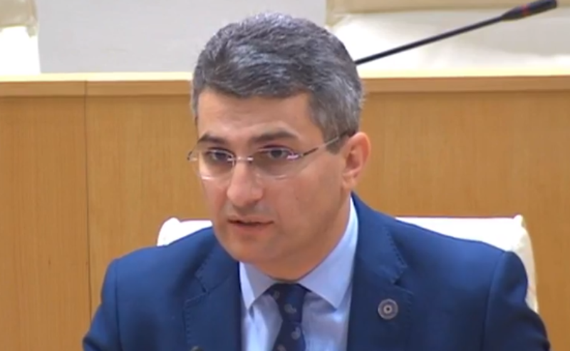 "კურდღლებივით დაიმალნენ" -  მდინარაძე ,,ენმ"-ზე