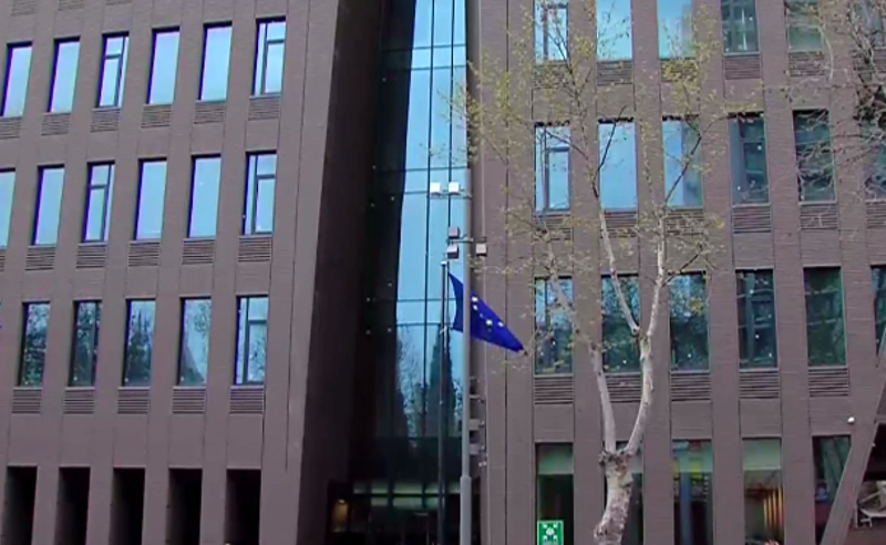 NGO-ები ევროკავშირის წარმომადგენლობას შეხვდნენ