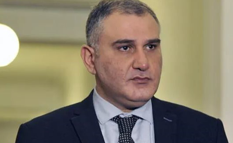 ევროპარლამენტარები საკითხს შესაძლოა, სუბიექტურად უდგებოდნენ - მიხეილ სარჯველაძე