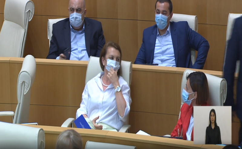 "ოცნების" დეპუტატმა ,,ნაბიჭვარი" მიწოდა - ნონა მამულაშვილი