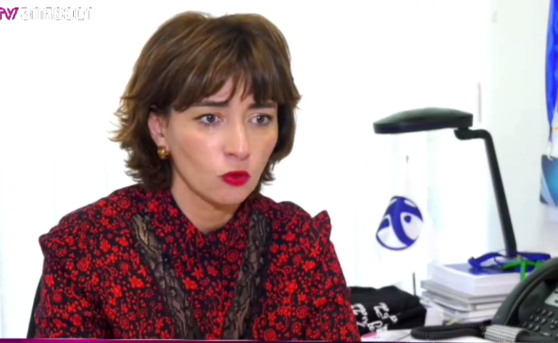 როგორც ჩანს, ეს არაა პირველი თხოვნა - გიგაური სკანდალურ წერილზე 