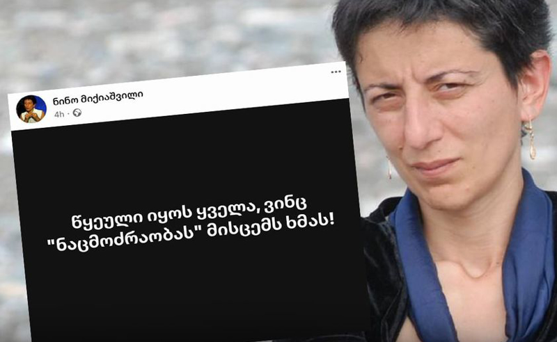 წულუკიანის მრჩეველმა ენმ-ს ასი ათასობით მხარდამჭერი დაწყევლა