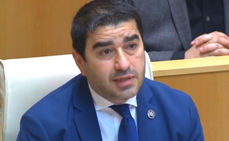 ხმების დათვლის პროცესში უზუსტობები არ ყოფილა - შალვა პაპუშვილი 