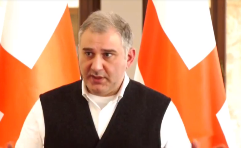 ევროპარლამენტარობა უპირატეს უფლებას არ ნიშნავს - სარჯველაძე ანა ფოტიგას სააკაშვილთან შეშვებაზე