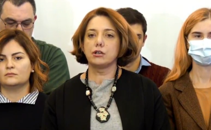 უახლოეს მომავალში საქართველოს ევროპელი კოლეგების მარავლრიცხოვანი წარმომადგენლობა ეწვევა - ოპოზიცია