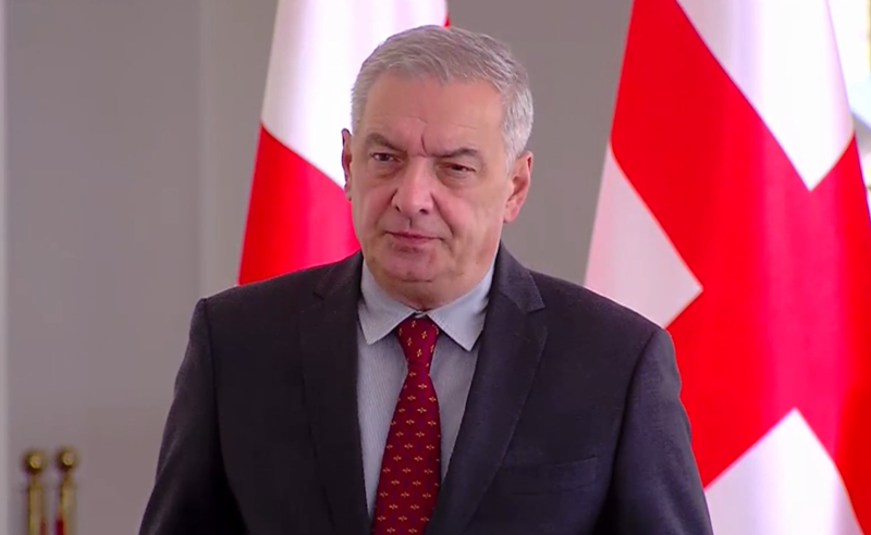 სააკაშვილის ჰიოსპიტალში გადაყვანის საჭიროება არ იყო - გია ვოლსკი