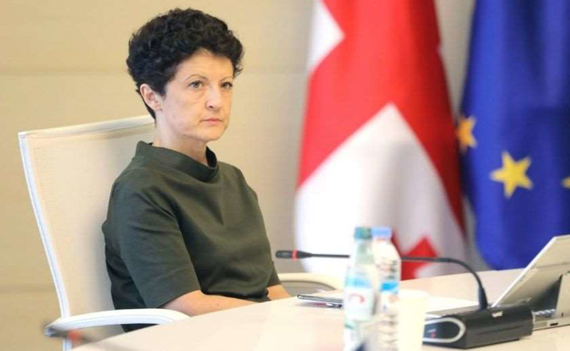 წულუკიანის ბრიფინგზე კრიტიკული მედია არ შეუშვეს