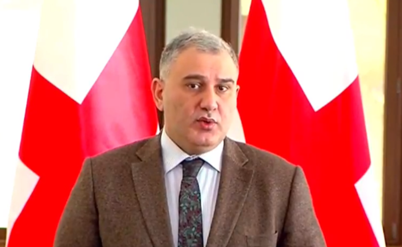 ძალიან უხეშად გამოავლინა ომბუდსმენმა პოლიტიკური მიკერძოება - მიხეილ სარჯველაძე