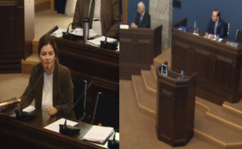 ანა ნაცვლიშვილმა მოსამართლეობის კანდიდატს სარკე მიუტანა