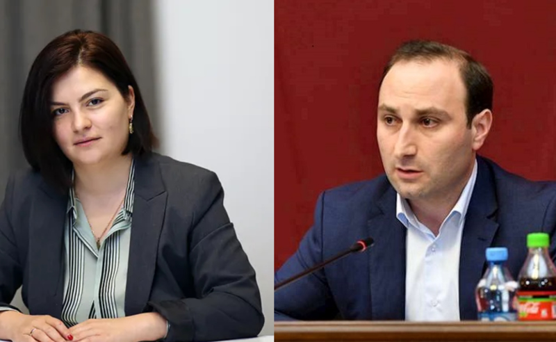 ანა ნაცვლიშვილის ოჯახი სტრასბურგში დავობდა, რომ სააკაშვილმა მისი მშობელი უკანონოდ დაიჭირა - ოხანაშვილი