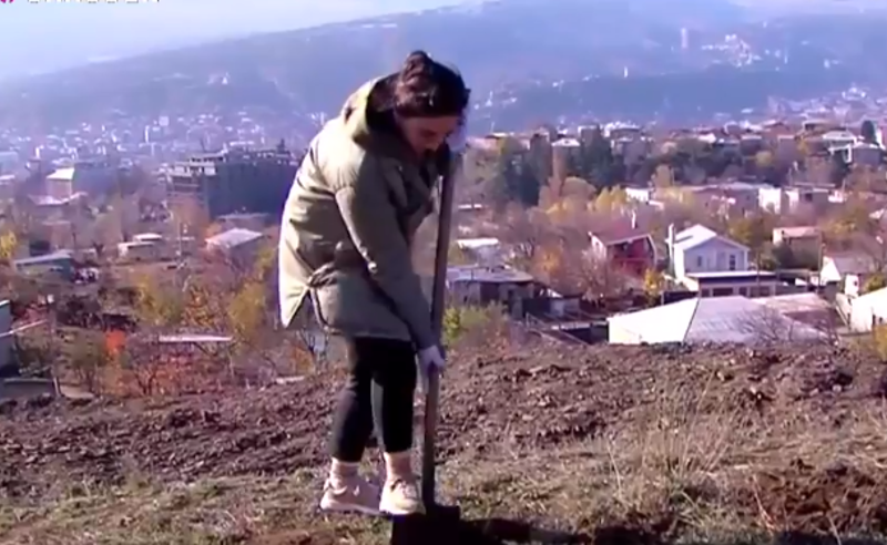 შეჩერდეს უკანონო მშენებლობები - "ელიას მთის მცველები" მწვანე სივრცეს ითხოვენ 