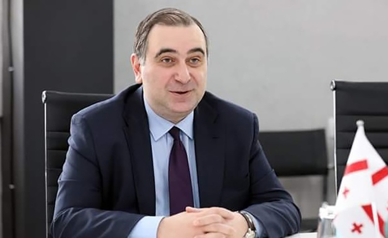 ტელესკოლა BBC-მდე 10 თვით ადრე დავნერგეთ -  განათლების მინისტრი 
