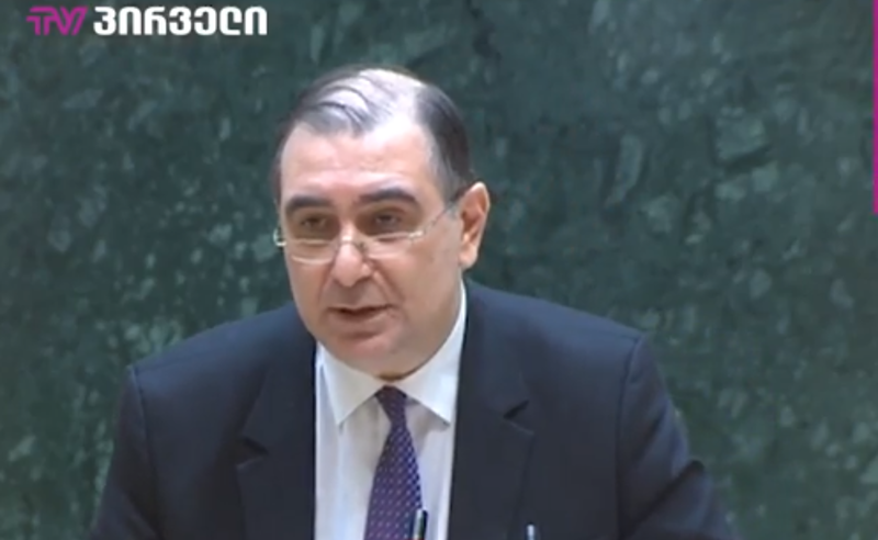 განათლების მინისტრმა ბიძინა ივანიშვილი ექვთიმე თაყაიშვილს შეადარა (ვიდეო)