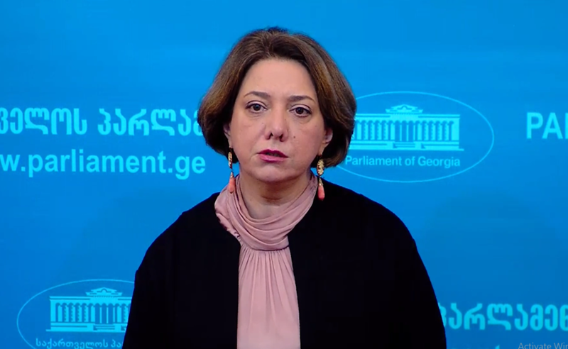 "ოცნებამ"  თავისი რესურსი ამოწურა და გადავიდა მილევის პროცესში - სამადაშვილი ტიკარაძის გადადგომაზე