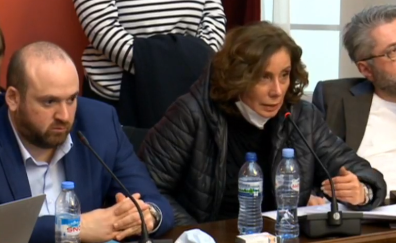 "ნუ გადაჭრით საკითხს ნაჯახით, გადადეთ" - ჯანგირაშვილი მედიის წიანაღმდეგ მიმართულ კანონზე