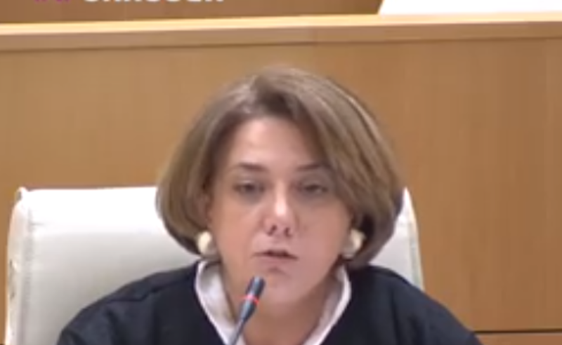 თავზე ნაცარს უნდა იყრიდეთ - სალომე სამადაშვილი ეკონომიკის მინისტრს