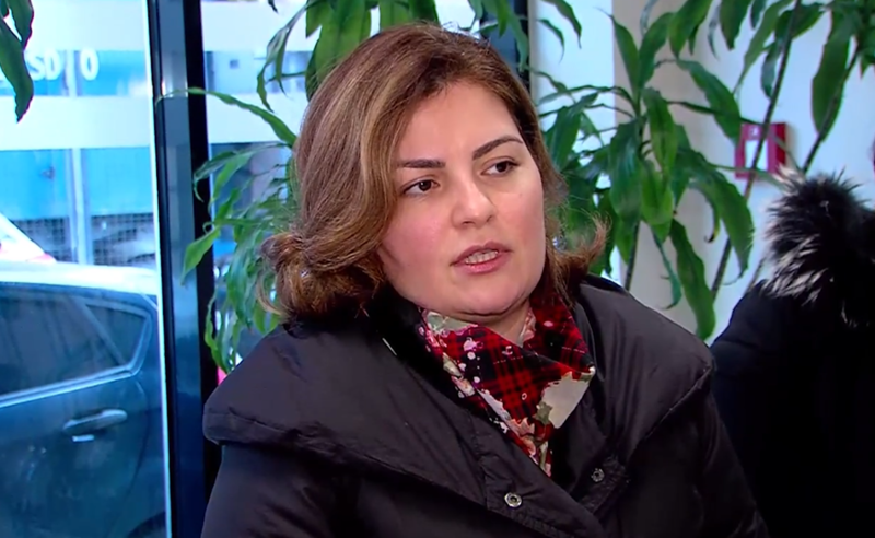 "ამოცანა არის, დავინახოთ ის სისტემური პრობლემები" -  ანა ნაცვლიშვილი პრეზიდენტს შეხვდა 