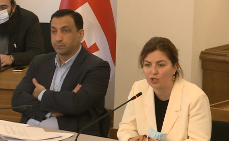  უწესო წესებით იბრძვით - ხმაური კომიტეტის სხდომაზე
