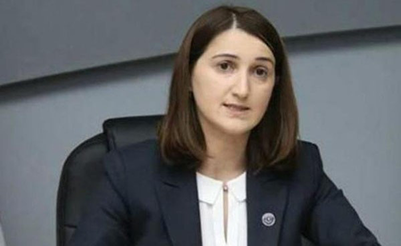 სამართლებრივ და მორალურ ბრძოლაში რომ მარცხდები, ტროლების  შტურმი შემდეგ იწყება, ხო? - ლონდა თოლორაია