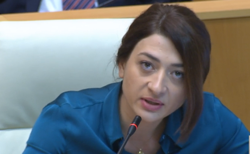 ყველაზე მავნებლური და საშიში გადაწყვეტილებაა, რაც "ოცნებას" მიუღია - ბუჩუკური ინსპექტორის სამსახურის გაუქმენაზე