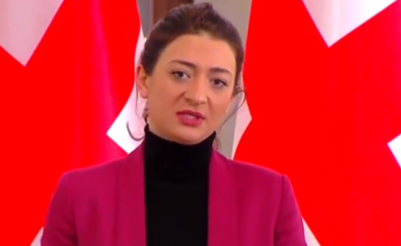 საპარლამენტო საგამოძიებო კომისიის შექმნას მხარს არ დავუჭერთ - ანა ბუჩუკური