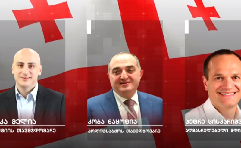 დიდი ცვლილებები "ნაციონალურ მოძრაობაში" - ვინ რა თანამდებობას დაიკავებს პარტიაში